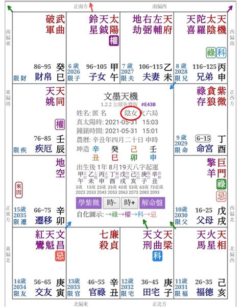 紫微斗數命盤分析